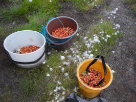 Город на Полярном круге