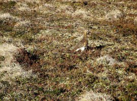 Город на Полярном круге