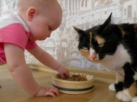 55 смешных причин, почему не стоит оставлять детей с папой