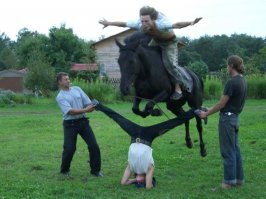 "Слабоумие и отвага".

*** 

Я не знаю, насколько слабоумен наездник, но парень "снизу", точно  - со стальными яйцами...