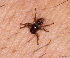 Мы уже идем к Вам