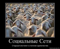 Комментарии из соц.сетей