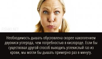 Когда у человека "автоматика дыхания" становится глубокой, по разным причинам, возникает неизлечимая современной медициной болезнь - астма. В лёгких кольцевая мышца сдавливает воздуховод препятствуя избыточное выдувание углекислоты. Доктор Бутейко вылечивал астматиков методом "волевой ликвидации глубокого дыхания" ВЛГД. Баланс О2 и СО2 восстанавливался и астма пропадала. Вот за вылечивание без лекарств его официальная медицина мягко говоря недолюбливала...