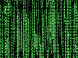 Информации, получаемой из Матрицы, гораздо больше, чем ты можешь расшифровать. Ты привыкаешь к этому. Скоро твой мозг сам делает перевод. Я уже даже не вижу код. Я вижу блондинку, брюнетку и рыжую.