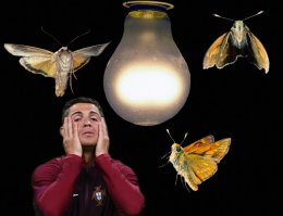 Пользователи Сети отреагировали на слёзы Роналду в финале Евро-2016