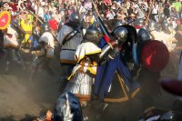 Нет, по моей логике витязь - славянский или старорусский воин. Аналог викингов, рыцарей, самураев и прочих. Аналог, но не синоним. 

В Битве Наций 2013. как минимум один витязь участвовал-


Из клуба Западная Башня из Калининграда, ЕМНИП. Но остальные участники обычно "рыцари" (правда почти поголовно "обедневшие", без оруженосцев-лошадей-рыцарских цепей).
