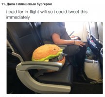 скорее всего она везет кота