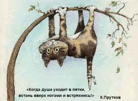 Инженер из России путешествует с ног на голову