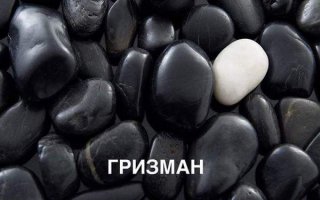 Сборная Франции на ЧЕ 2016