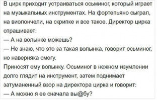 Смешные комментарии и высказывания из социальных сетей