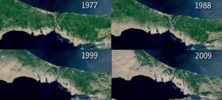 Гребаные веганы...