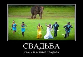Это Африка, детка!