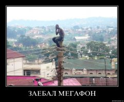 Это Африка, детка!