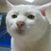 Девушка нашла идеальный ответ на то, что её парень отменил свидание, к которому она так долго готовилась  