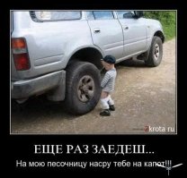 Свежая подборка автоприколов