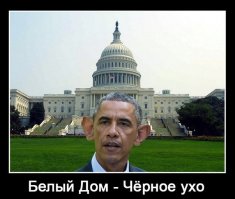 Кениец, мусульманин, поклявшийся в верности стране, народу и демократии на БИБЛИИ!!! Это издевательство не находите?
А опо сабжу, обезьяна она и в африке ОБЕЗЬЯНА!