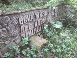 Фотоподборка  12.07.2016