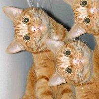 12 оптических иллюзий стрит-арта, на которые вам придется посмотреть дважды