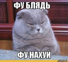 Белоснежные красавцы