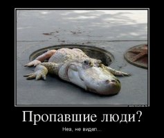 Загадочные и необъяснимые исчезновения людей 