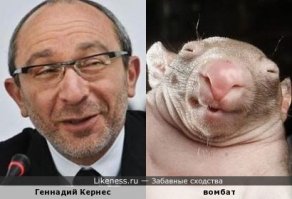 Вы думали, что видели в жизни все? Вы были не правы...