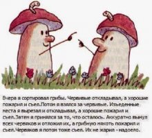 Тихая охота 10.07.2016