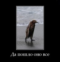 Силу разрушительного супертайфуна «Nepartak» сняли на видео