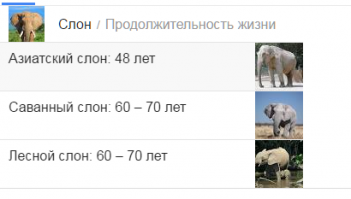 хоть немного поживет по-"человечи",(слоновий)

хозяина на мыло,выродка)