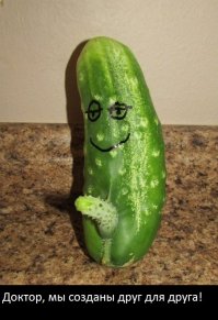 Вы поразитесь, узнав, как эти плоды выглядят на грядках!