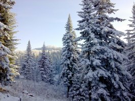 Решение о прокладке дороги к Ак-Сугскому месторождению