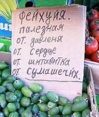 Вы поразитесь, узнав, как эти плоды выглядят на грядках!