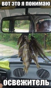 А вот это у меня есть, только не в машине, а на чердаке, чалок 10 осталось.