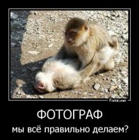 Люди, которые слегка перегрелись на солнце