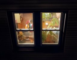 6 странных вещей, которые можно увидеть через окно