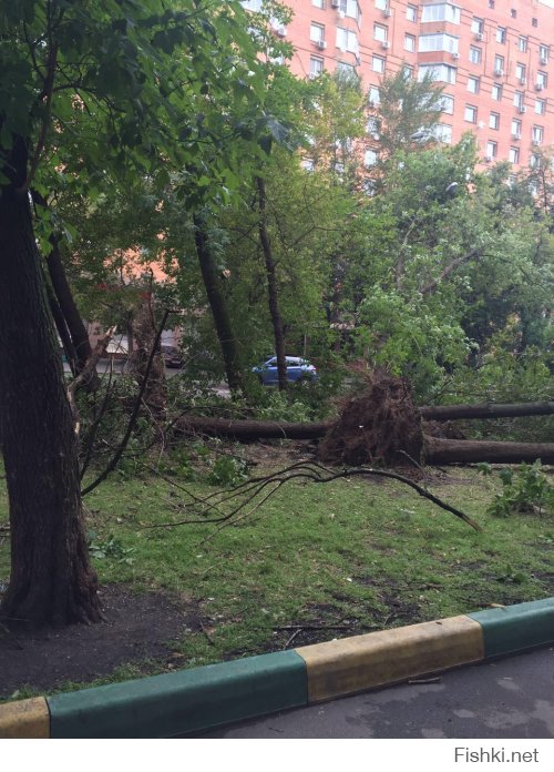 в Москве тоже жесть была