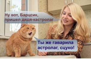 Блогеры отфотошопили "летающего кота", выбежавшего на поле регби