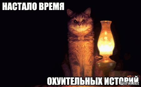 А как же кот с лампой?!