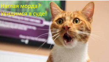 Наглая рыжая морда