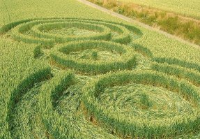 А здесь типа бегали большие ежи с банками?