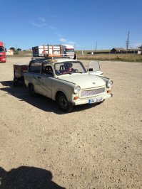 вот,пжл:)) Год назад в Калмыкии встретил:)