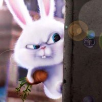 Звезды, чьи снимки чаще всего видят пластические хирурги