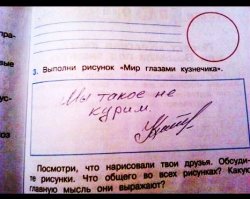 О реформе высшего образования