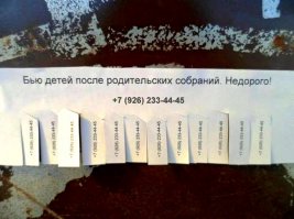 О реформе высшего образования