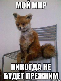 11 научных фактов про пуканье