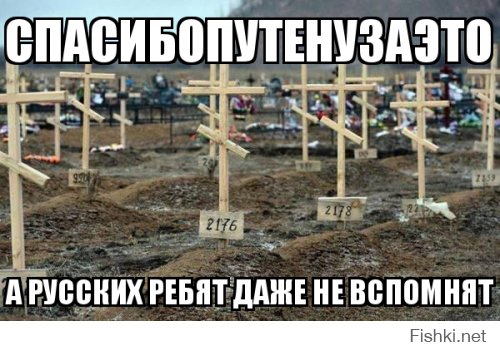 Они пришли убивать