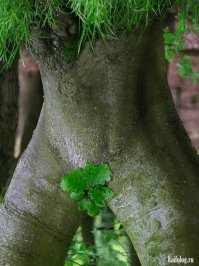 Нормальные, но не очень интересные.