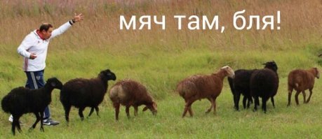 Победа сборной Португалии на Евро-2016: смешные комментарии из соцсетей