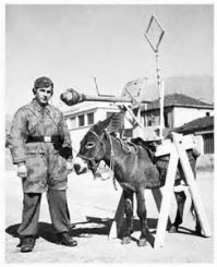 На Ирбитском заводе представили новинку - военный мотоцикл "Капрал"