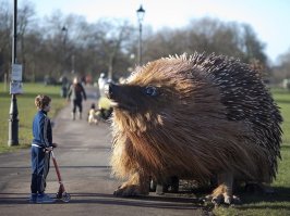 Мега ежи с двухсотлитровыми бочками на морде...