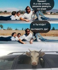 Свежая подборка автоприколов